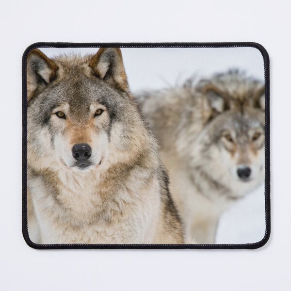 Item preview, Timber Wolves designed and sold by Michael Cummings.