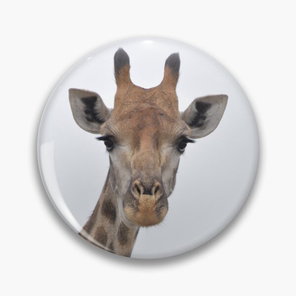 Item preview, Giraffe Photograph - Kruger National Park, South Africa designed and sold by Marlienart.