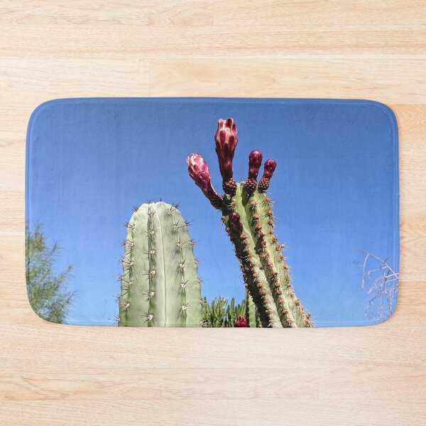 Item preview, Cactus blooms in a cactus garden against a clear blue sky designed and sold by HelgaScand.