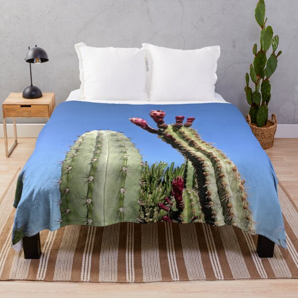 Item preview, Cactus blooms in a cactus garden against a clear blue sky designed and sold by HelgaScand.