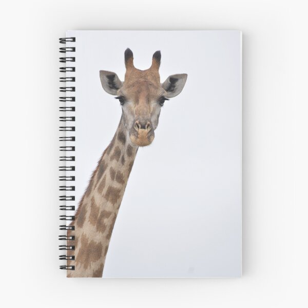 Item preview, Giraffe Photograph - Kruger National Park, South Africa designed and sold by Marlienart.