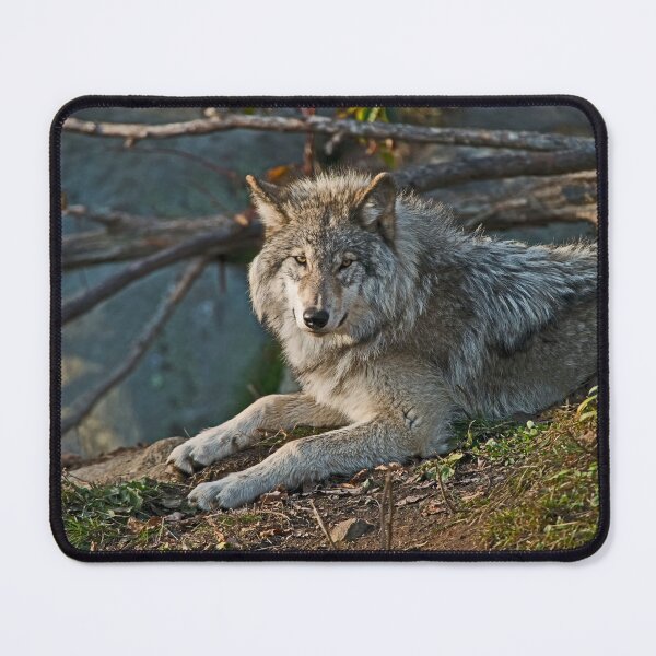 Item preview, Timber Wolf designed and sold by Michael Cummings.