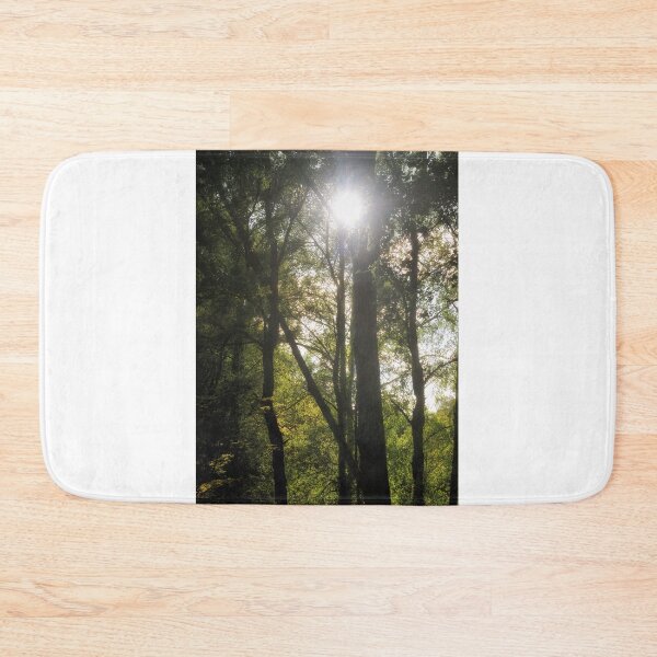 Item preview, Summer sun through trees in a wood, Scotland designed and sold by Richard Flint.