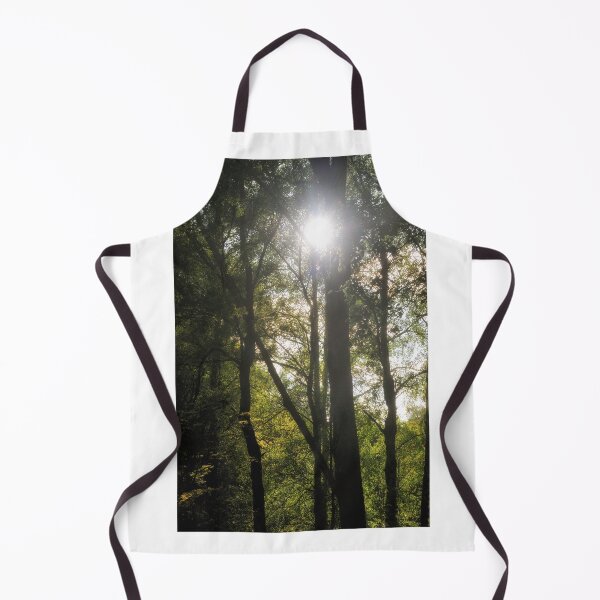 Item preview, Summer sun through trees in a wood, Scotland designed and sold by Richard Flint.