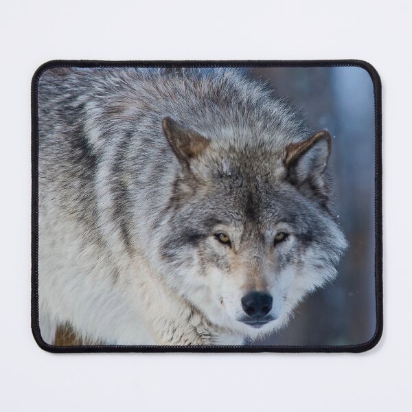 Item preview, Gray Wolf designed and sold by Michael Cummings.