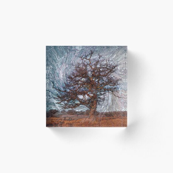 World Trees 4 Acrylic Block