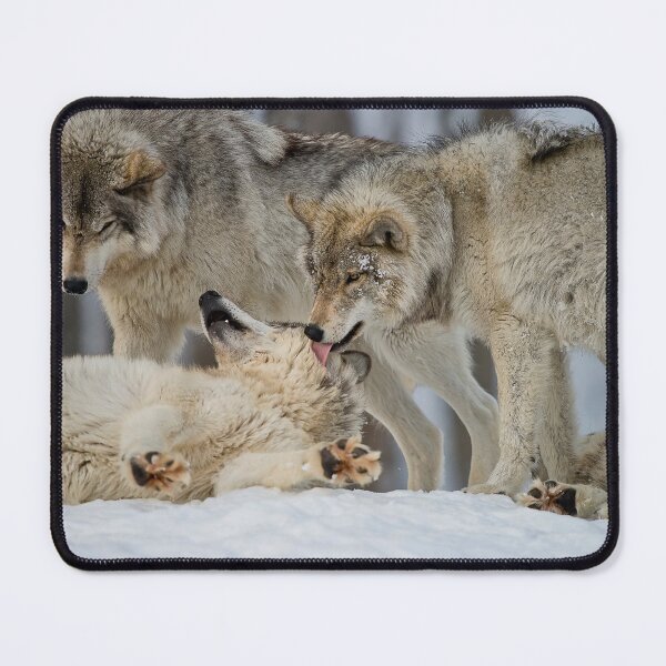 Item preview, Grey Wolves designed and sold by Michael Cummings.