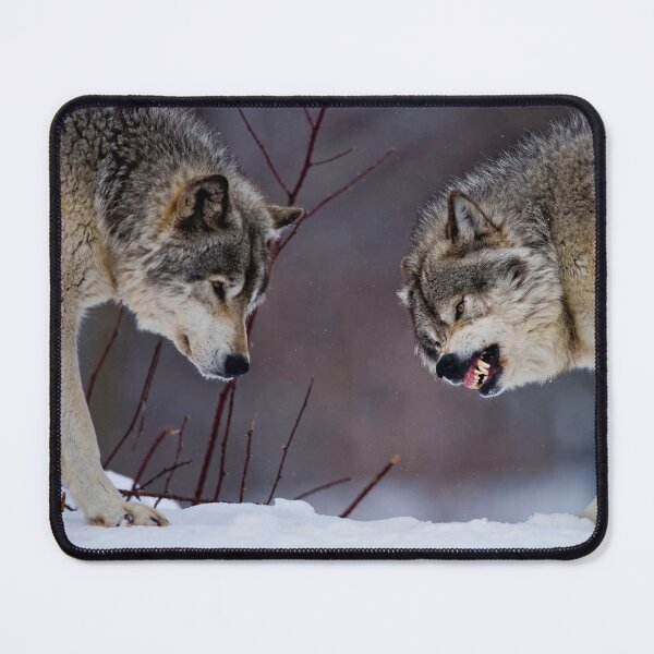 Item preview, Timber Wolves designed and sold by Michael Cummings.