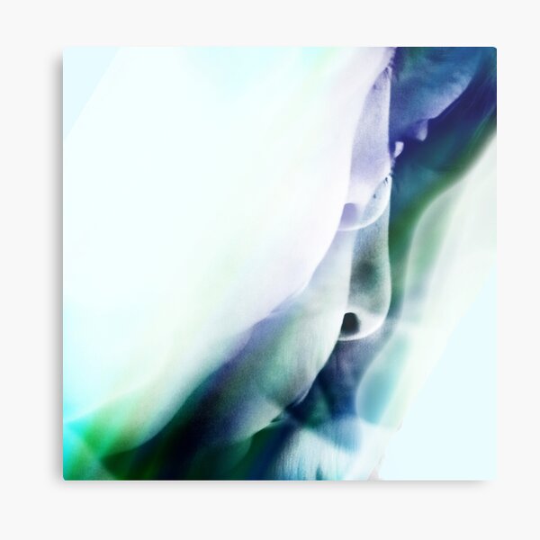 Tempus Fugit Metal Print