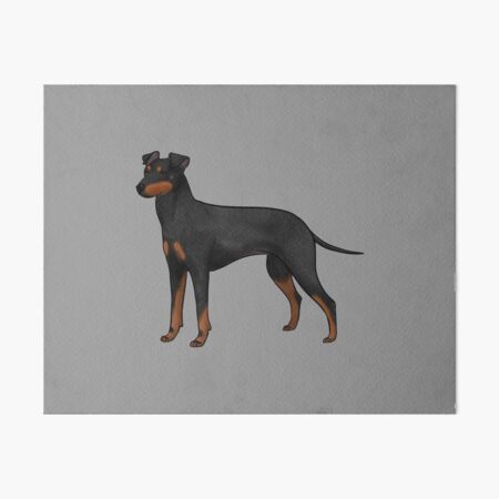 Aperçu de l'œuvre Terrier de Manchester créée et vendue par BlackHeartsCo.
