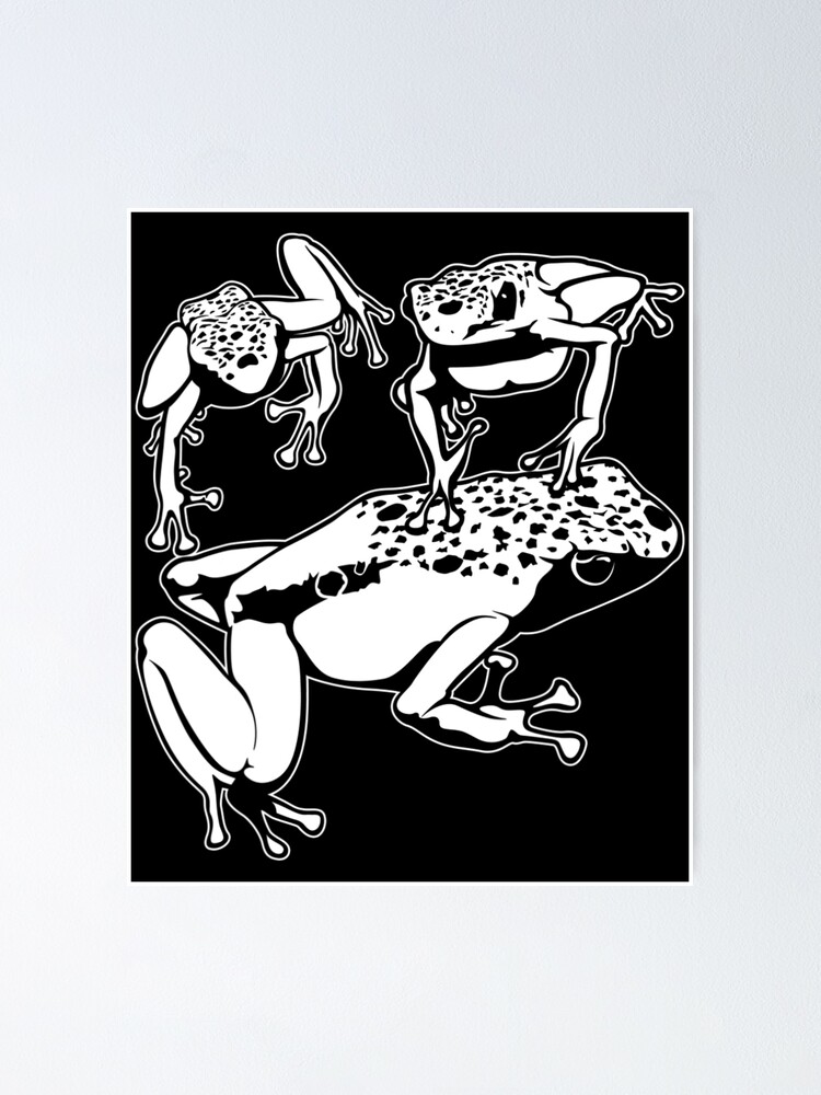 "Rainforest Amphibia Frog Tadpole Frog" Poster for Sale by ZinHay