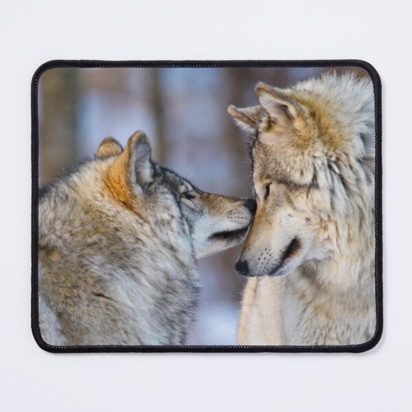 Item preview, Timber Wolves designed and sold by Michael Cummings.