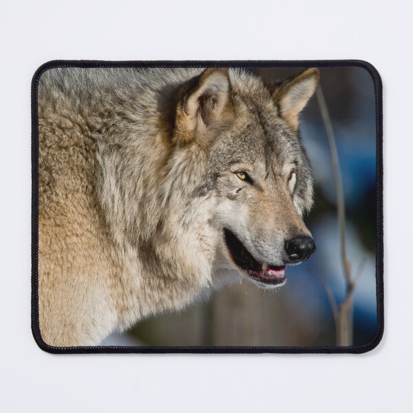 Item preview, Grey Wolf designed and sold by Michael Cummings.
