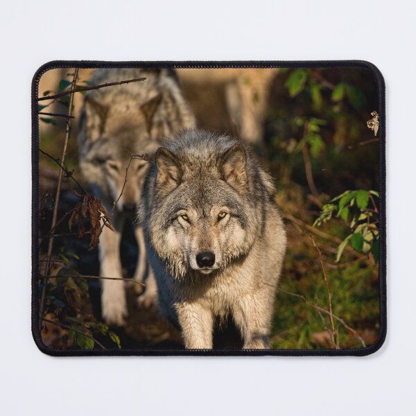 Item preview, Timber Wolf designed and sold by Michael Cummings.