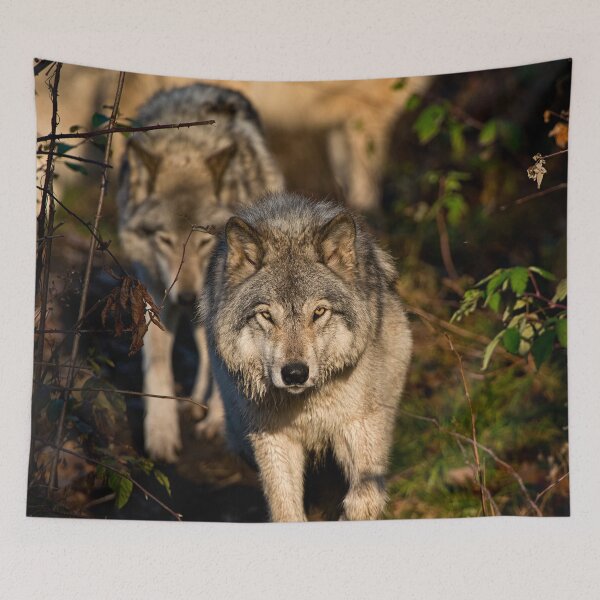 Item preview, Timber Wolf designed and sold by Michael Cummings.