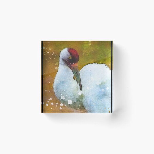 Aperçu de l'œuvre Oiseau grue blanche aquarelle, adorable grue blanche, grue blanche Grus Americana, oiseau sauvage de la grue blanche créée et vendue par Trendymotion.