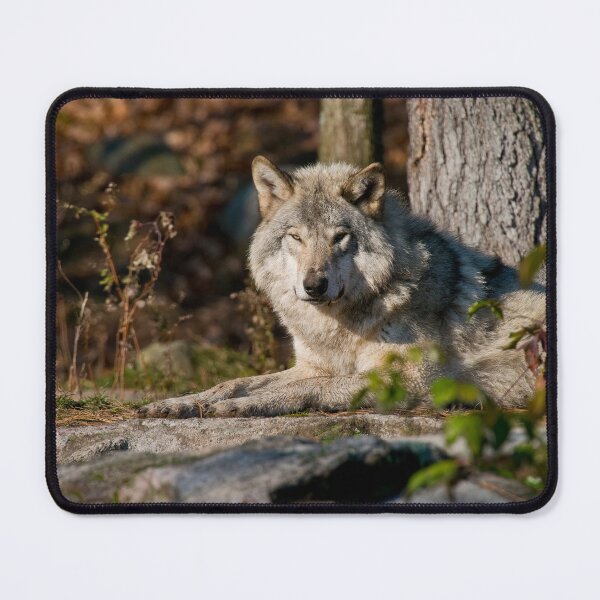 Item preview, Timber Wolf designed and sold by Michael Cummings.