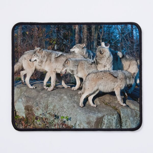Item preview, Timber Wolves designed and sold by Michael Cummings.