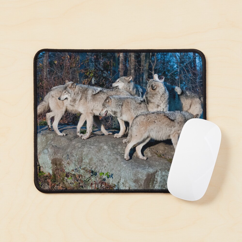 Item preview, Mouse Pad designed and sold by jaydee1400.