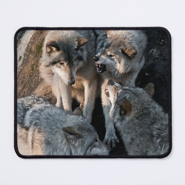 Item preview, Gray Wolves designed and sold by Michael Cummings.