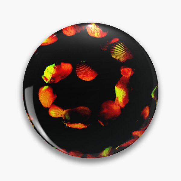 Item preview, Shell Spiral 1 designed and sold by Geoff Treagus.