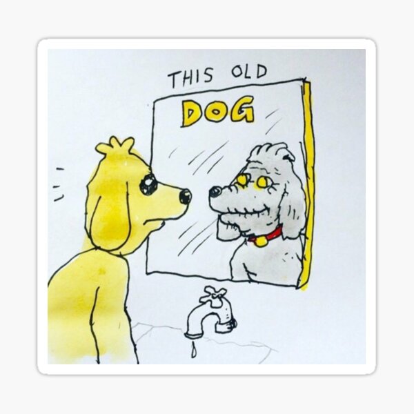 Mac Demarco This Old Dog Tee Sticker