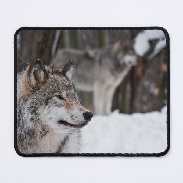 Item preview, Gray Wolves designed and sold by Michael Cummings.
