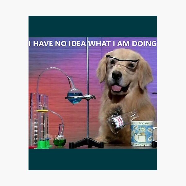 "Chemistry Dog Meme " Photographic Print for Sale by MohrFidel Redbubble