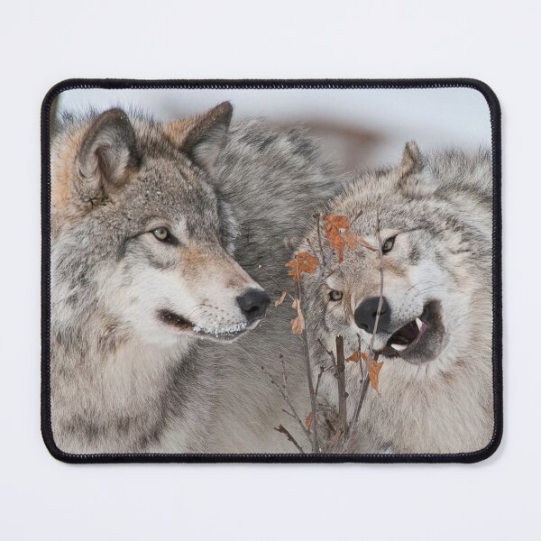 Item preview, Timber Wolves designed and sold by Michael Cummings.