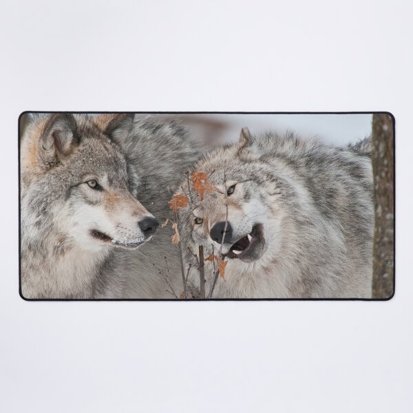 Item preview, Timber Wolves designed and sold by Michael Cummings.