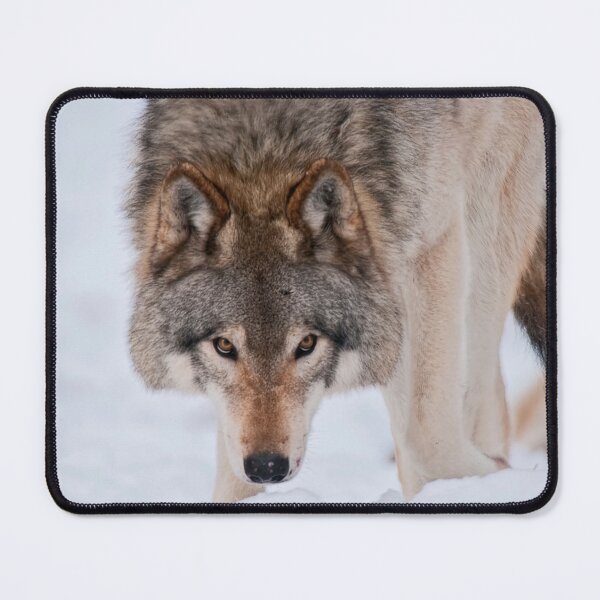 Item preview, Timber Wolves designed and sold by Michael Cummings.