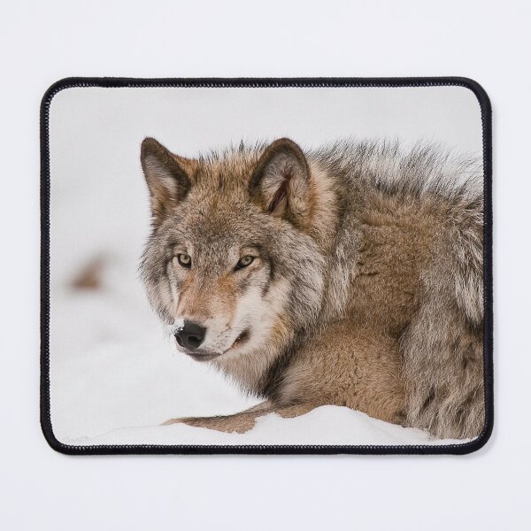 Item preview, Gray Wolf designed and sold by Michael Cummings.