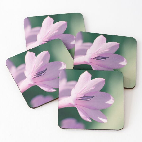 Item preview, She Listens Like Spring designed and sold by Linda Lees.