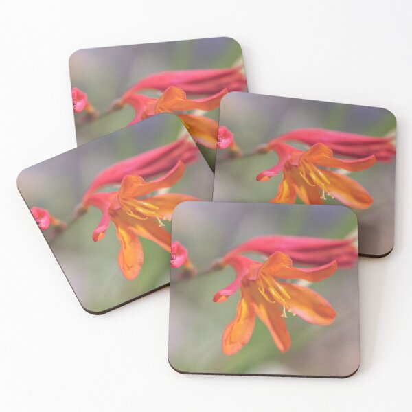Item preview, Misplaced Beauty designed and sold by Linda Lees.