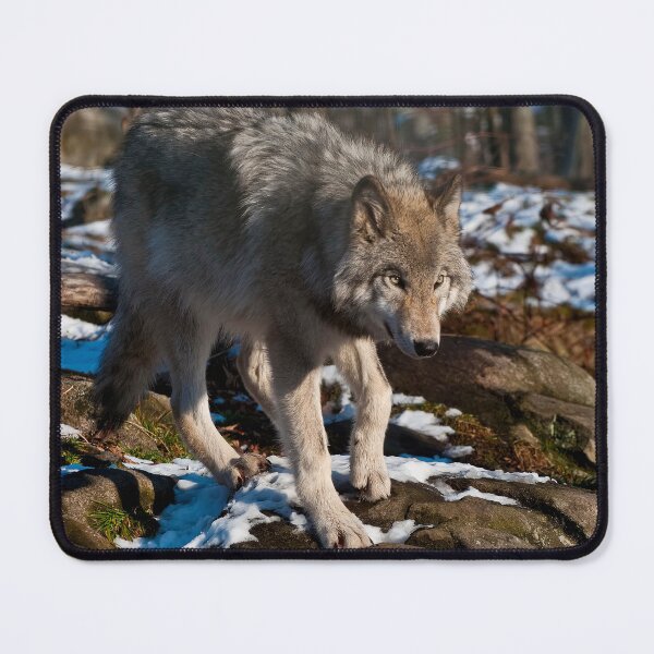 Item preview, Timber Wolf designed and sold by Michael Cummings.
