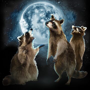 Raccoon - Moon - Sticker