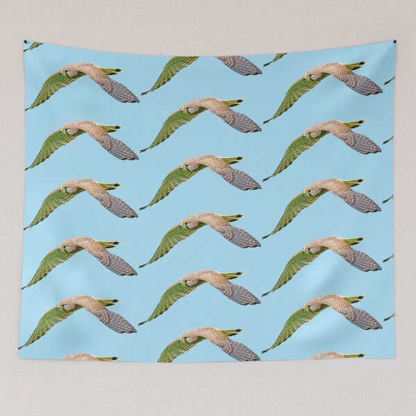 Item preview, Female Kestrel in flight designed and sold by Dalyndigital Photography.