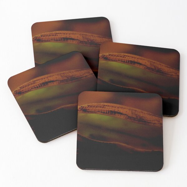 Item preview, Open Shell designed and sold by Geoff Treagus.