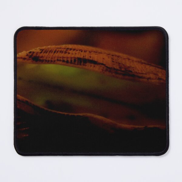 Item preview, Open Shell designed and sold by Geoff Treagus.