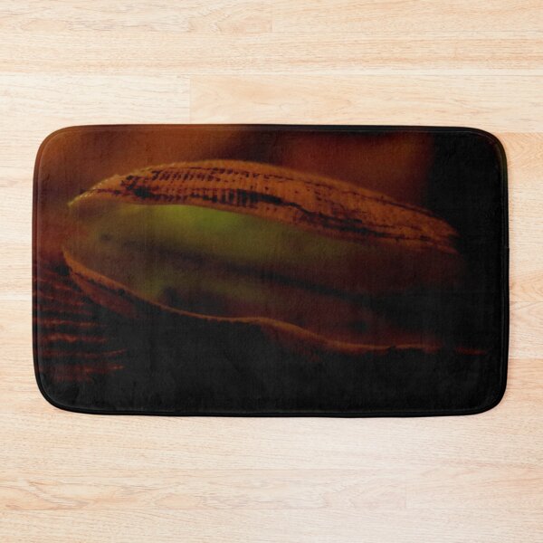 Item preview, Open Shell designed and sold by Geoff Treagus.