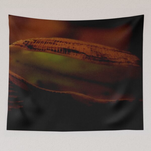 Item preview, Open Shell designed and sold by Geoff Treagus.