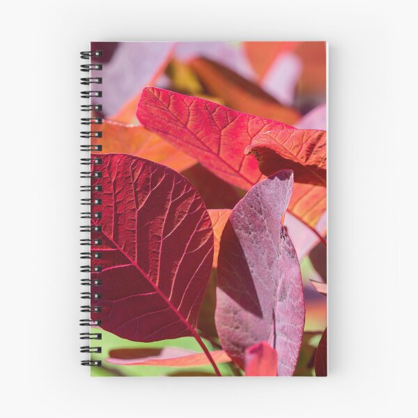 Item preview, Everything is Extraordinary designed and sold by Linda Lees.