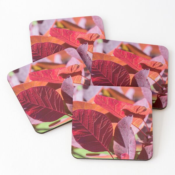 Item preview, Everything is Extraordinary designed and sold by Linda Lees.