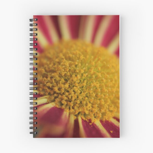 Item preview, Red & Yellow Striped Daisy designed and sold by KPockettPhotos.