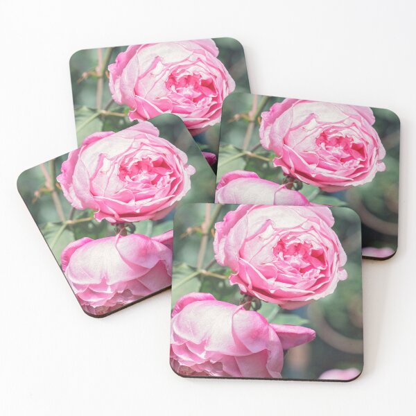 Item preview, One bold, one bashful designed and sold by Linda Lees.