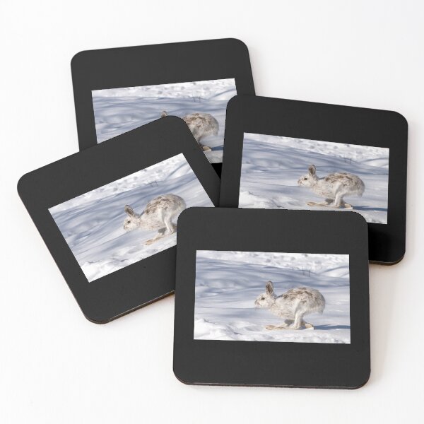 Item preview, Snowshoe Hare (Lepus Americanus) Running In The Winter Snow Sticker designed and sold by kerritoniap2g.