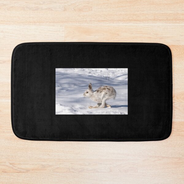 Item preview, Snowshoe Hare (Lepus Americanus) Running In The Winter Snow Sticker designed and sold by kerritoniap2g.