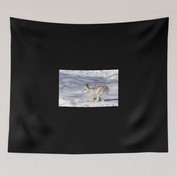 Item preview, Snowshoe Hare (Lepus Americanus) Running In The Winter Snow Sticker designed and sold by kerritoniap2g.