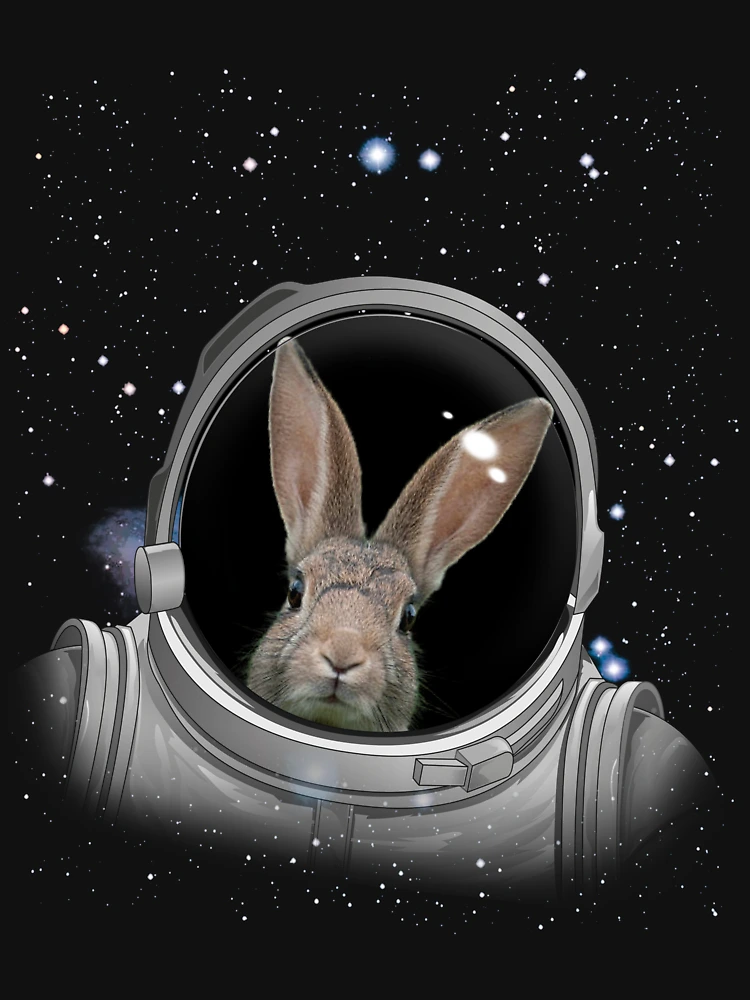 Thumbnail 6 von 6, Premium Oversized Pullover, Rabbit Astronaut Space Astronomy Astronaut Rabbit Gear designt und verkauft von DynamicDesign.