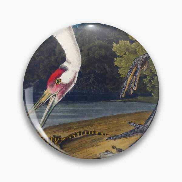 Item preview, Hooping Crane from Birds of America, Adorable Whooping Crane, Whooping Crane Grus Americana, Whooping Crane Wildlife Bird designed and sold by Trendymotion.